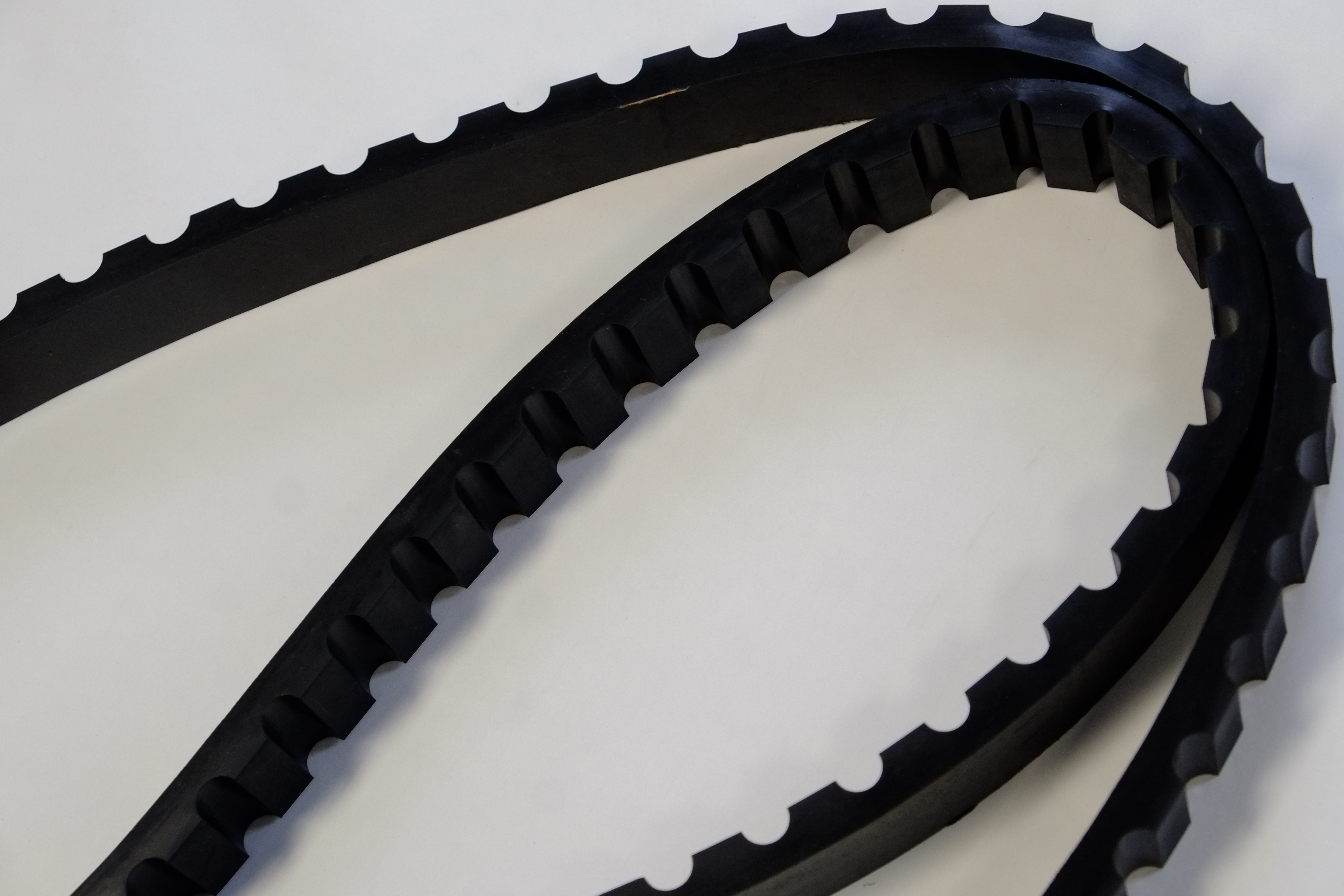 CRANTEE REPRISE DE LIN - COURROIELIN